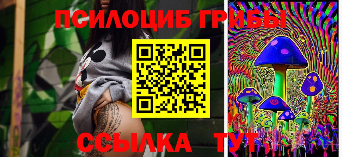 Дербент  Галлюциногенные грибы Psilocybe  купить закладку  Псилоцибиновые грибы прущие грибы  Вход с VPN 