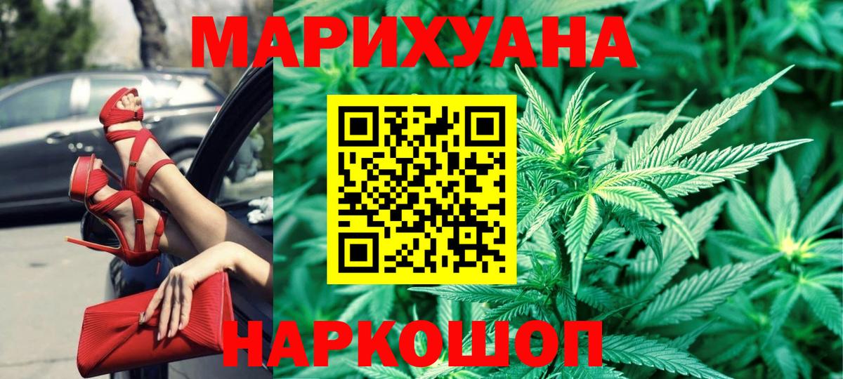 Конопля сатива Дербент